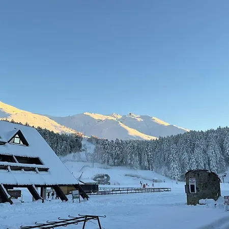 Cosy Face Aux Pistes Avec Mezzanine Et Navette Gratuite - Fr-1-787-39 Apartment Laveissiere