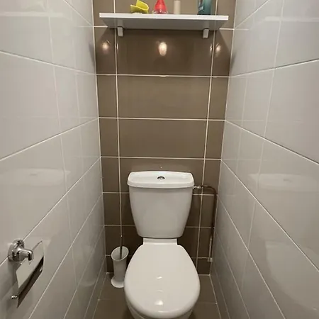 Cosy Face Aux Pistes Avec Mezzanine Et Navette Gratuite - Fr-1-787-39 Laveissière