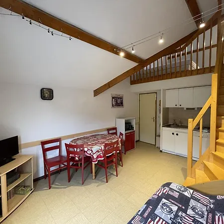 Cosy Face Aux Pistes Avec Mezzanine Et Navette Gratuite - Fr-1-787-39 아파트 Laveissière